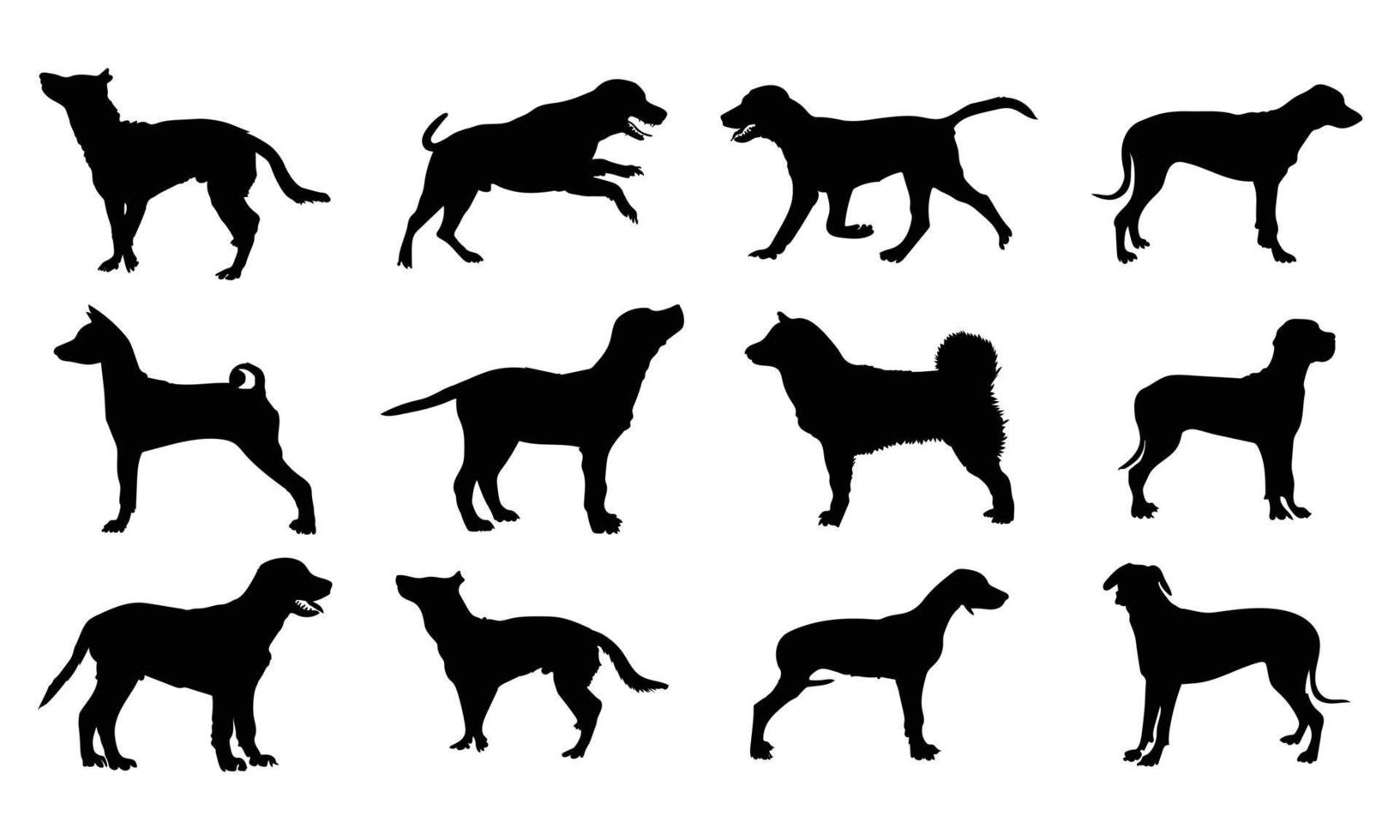silueta vectorial de un perro sobre fondo blanco. vector