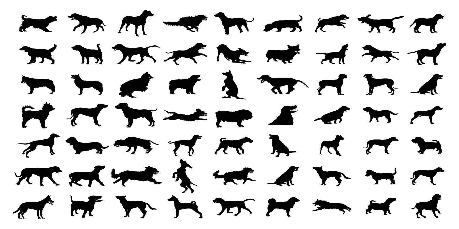 Vector silhouette of dog on white background.