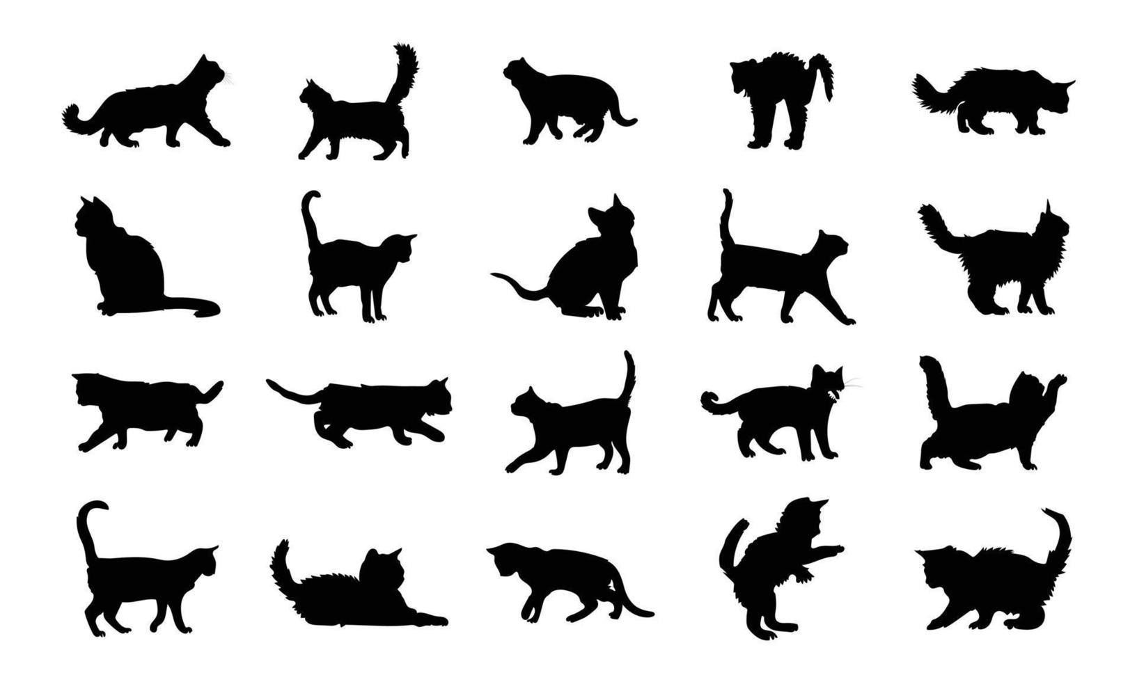 Vector silhouette of a cat on white background.