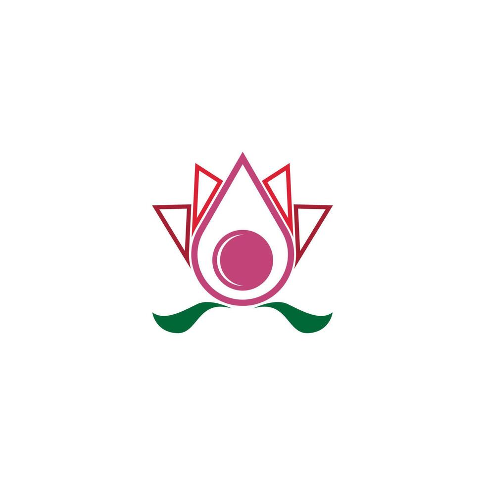 Beauty Lotus flowers logo icon design template vector