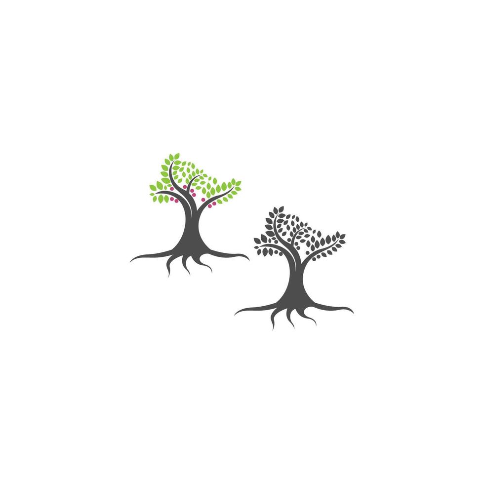 árbol icono árbol rama diseño vector ilustración