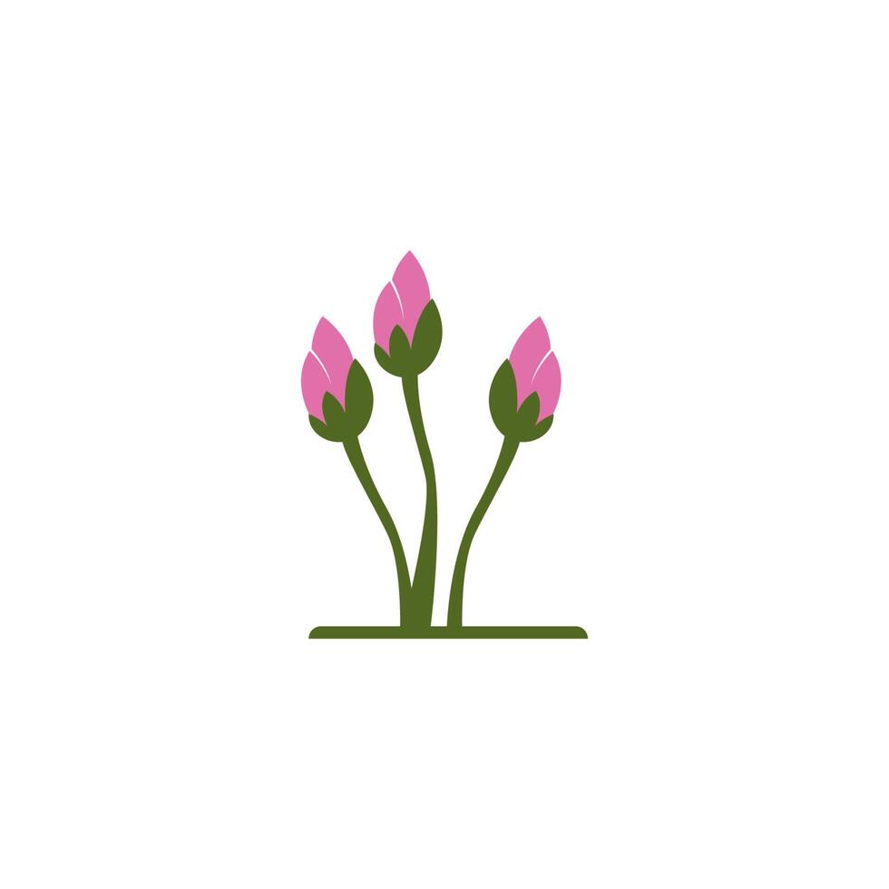 Beauty Lotus flowers logo icon design template vector