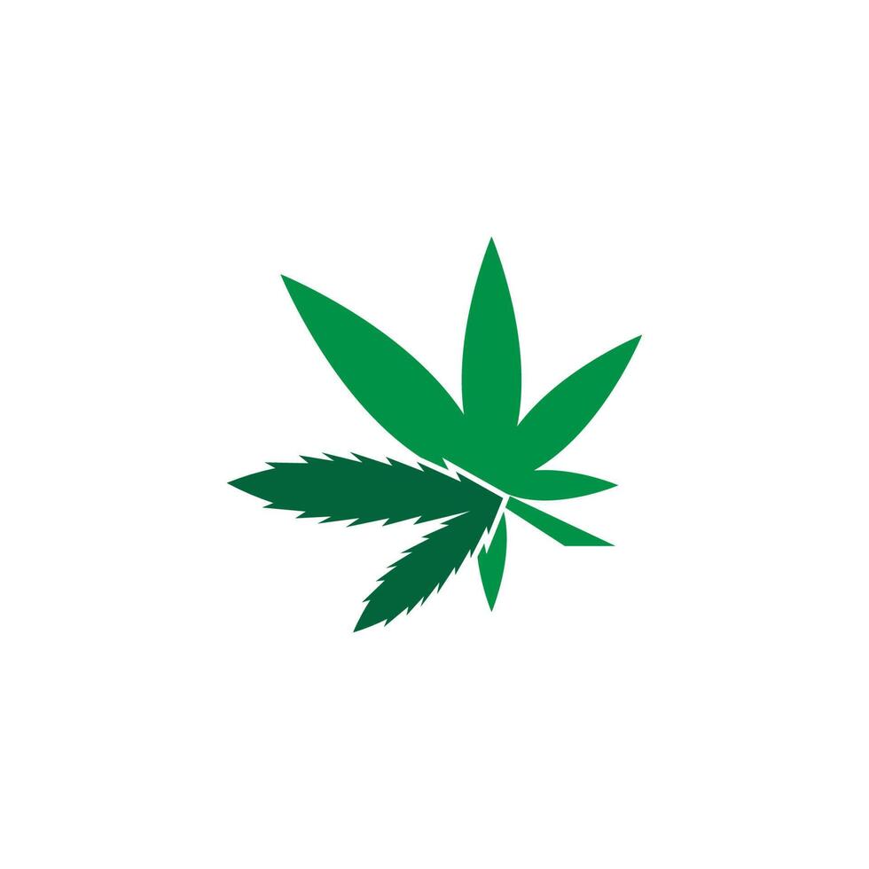 plantilla de vector de diseño de logotipo de hoja de cannabis