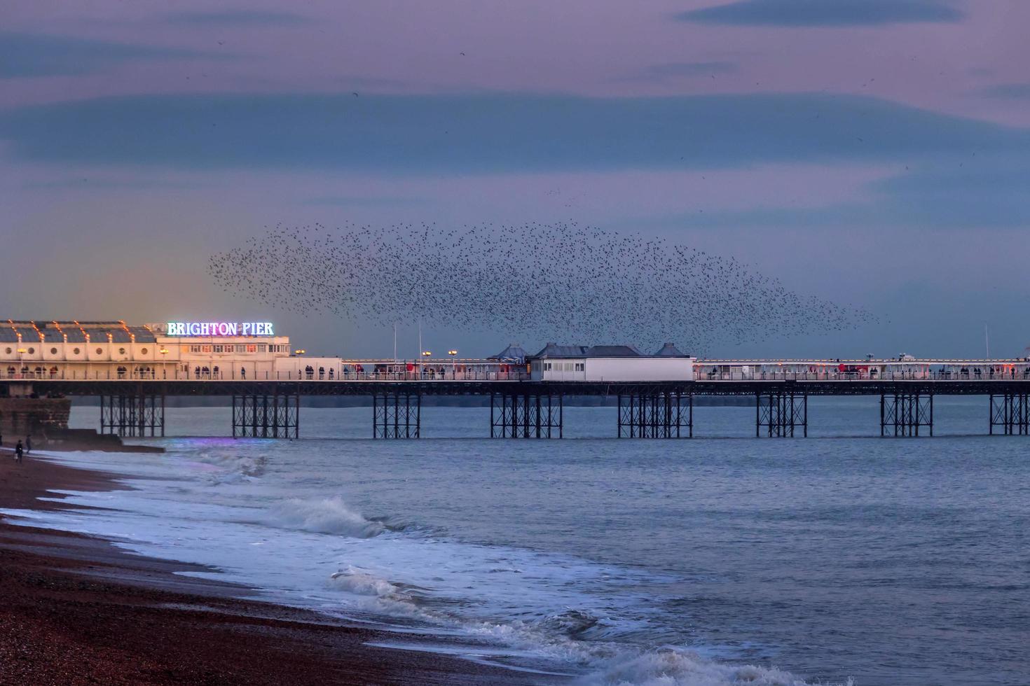 BRIGHTON, EAST SUSSEX, UK. Starlings over the Pier in Brighton East Sussex on January 26, 2018. Unidentified people photo