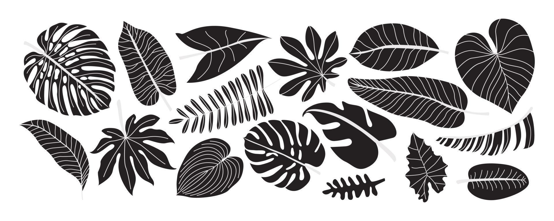 siluetas negras de hojas de palmeras tropicales. hojas de monstera y palmeras, follaje exótico, planta natural decorativa. conjunto de ilustración plana dibujada a mano vector