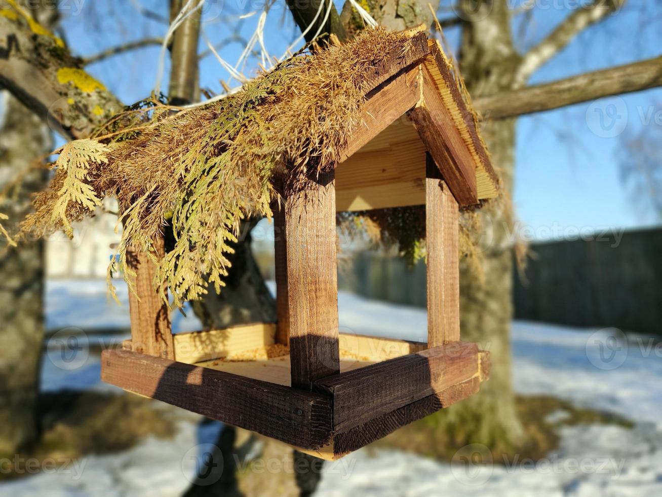 Wooden bird feeder on a tree in spring in a park or garden. photo