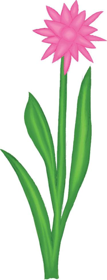 Easter Element Set Graphic vector
