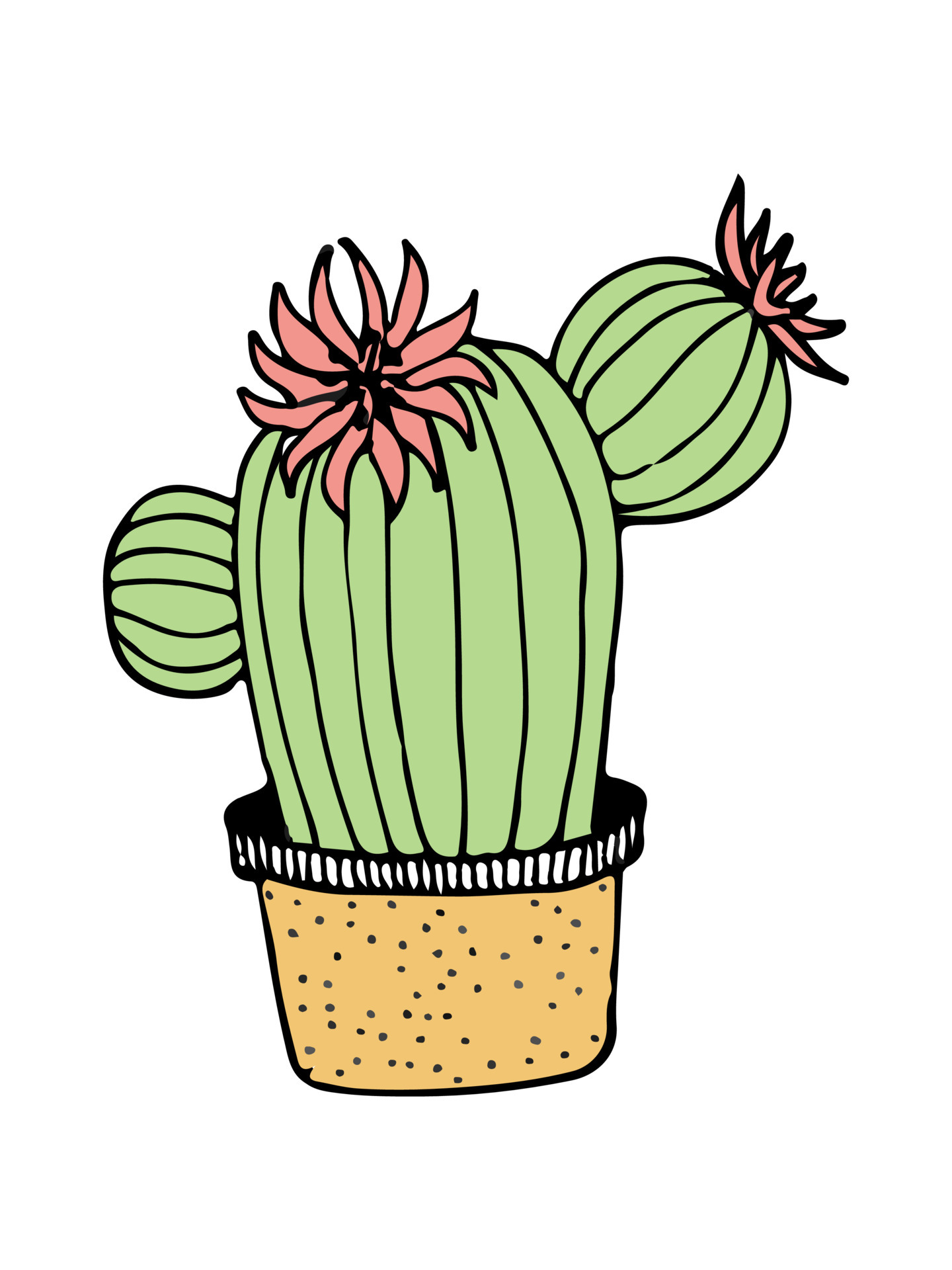 doodle illustration cactus on white. Colorful doodle illustration ...