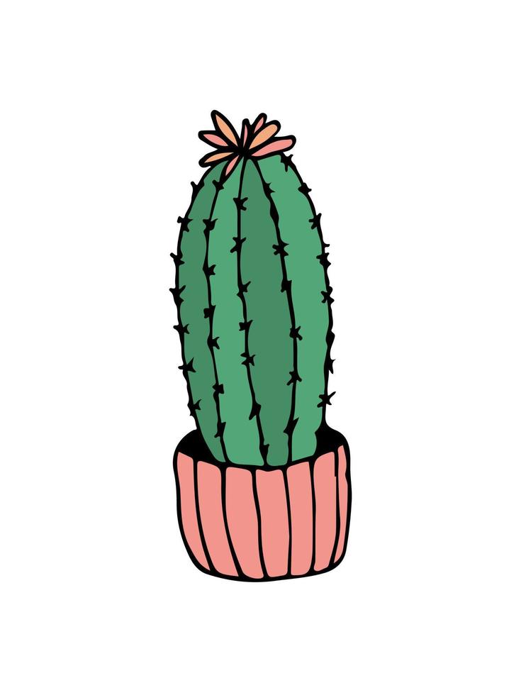doodle illustration cactus on white. Colorful doodle illustration cactus in modern style on white background. vector