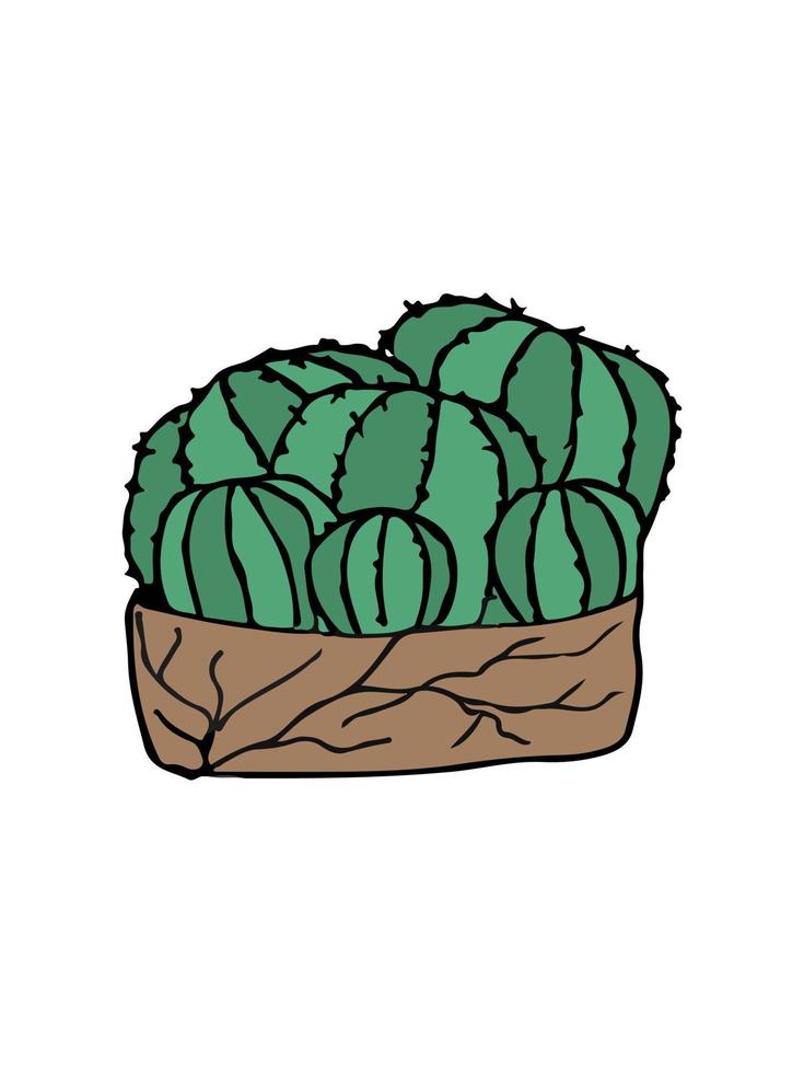 doodle ilustración cactus en blanco. colorido doodle ilustración cactus en estilo moderno sobre fondo blanco. vector