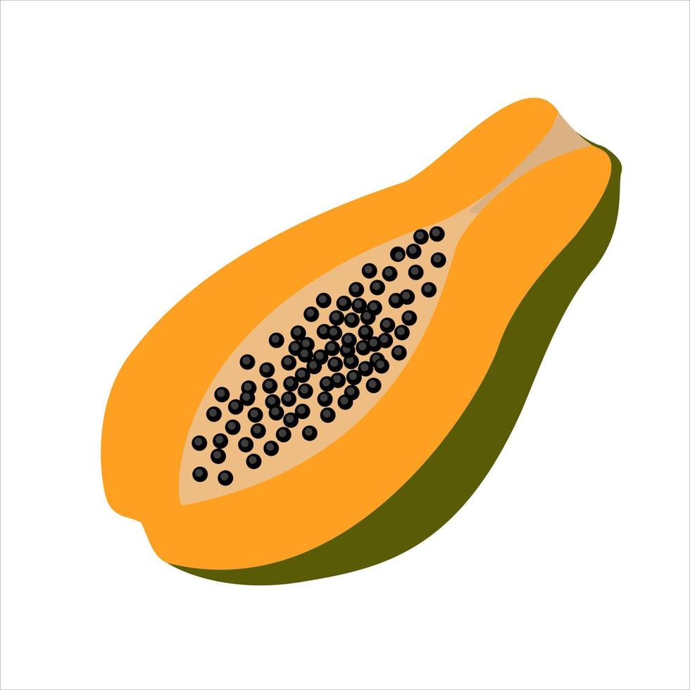 Isolated papaya on white background for fabric design. Vector illustration background. Cartoon vector illustration. Colorful flat vector illustration. Vector isolated illustration.