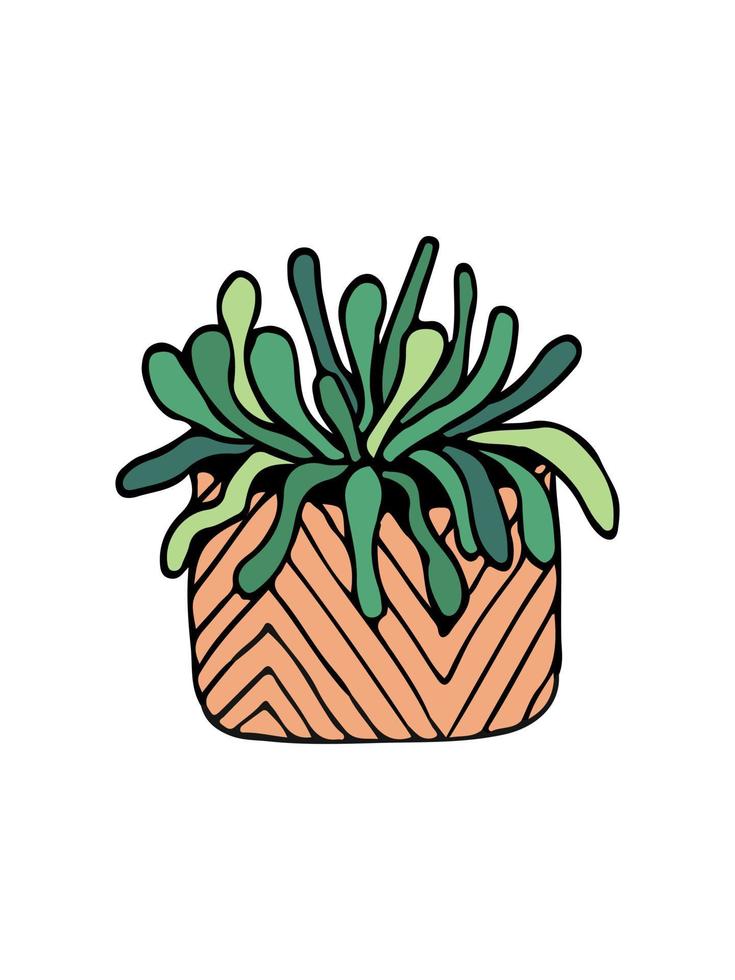 doodle illustration cactus on white. Colorful doodle illustration cactus in modern style on white background. vector