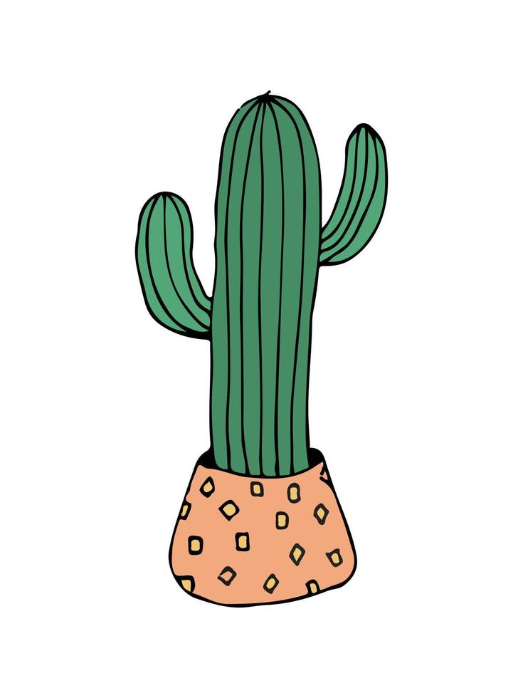 doodle ilustración cactus en blanco. colorido doodle ilustración cactus en estilo moderno sobre fondo blanco. vector