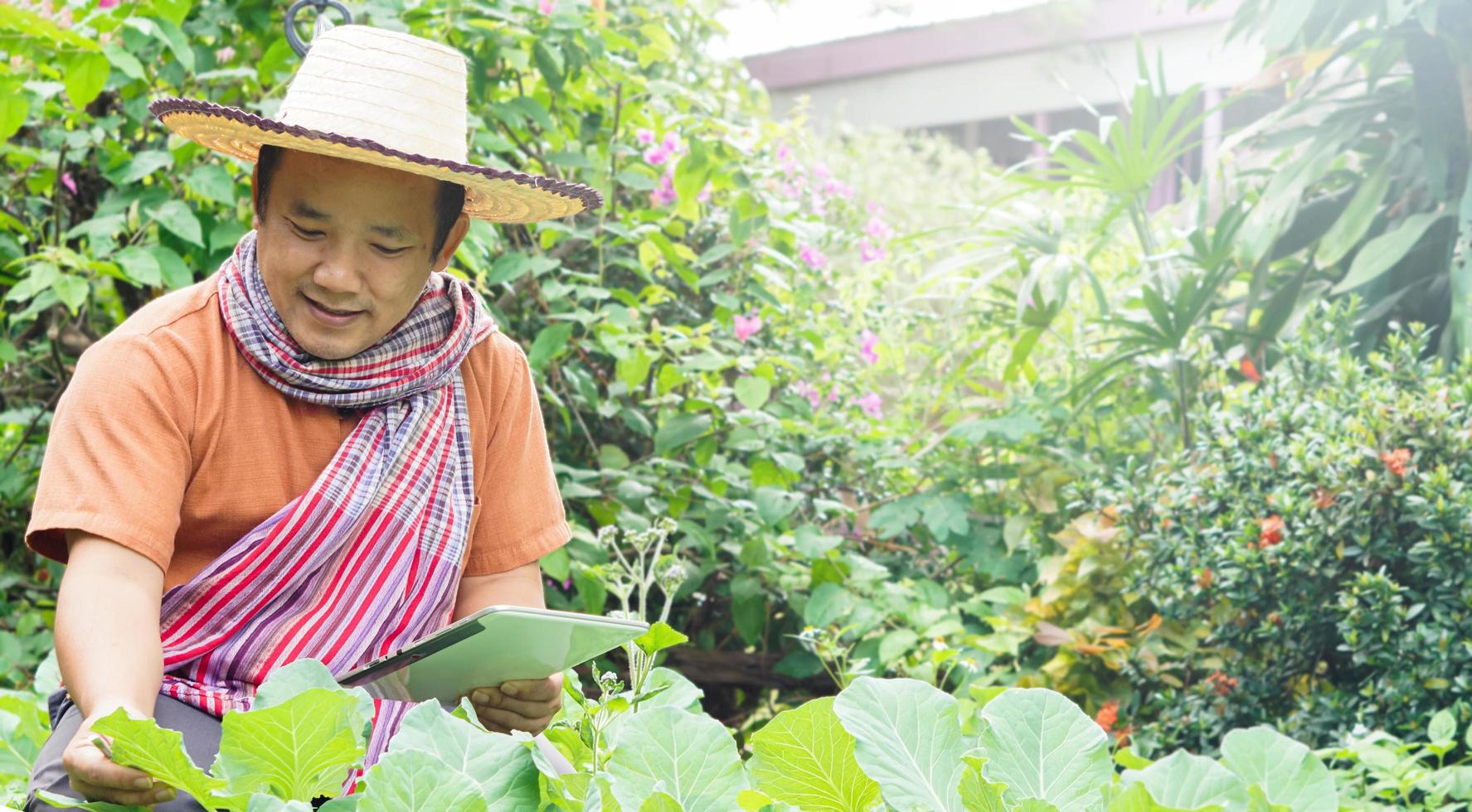 un hombre asiático de mediana edad se relaja en su tiempo libre usando su taplet para tomar fotos y almacenar los datos crecientes junto a las camas de vegetales en el patio trasero de su casa. enfoque suave y selectivo.