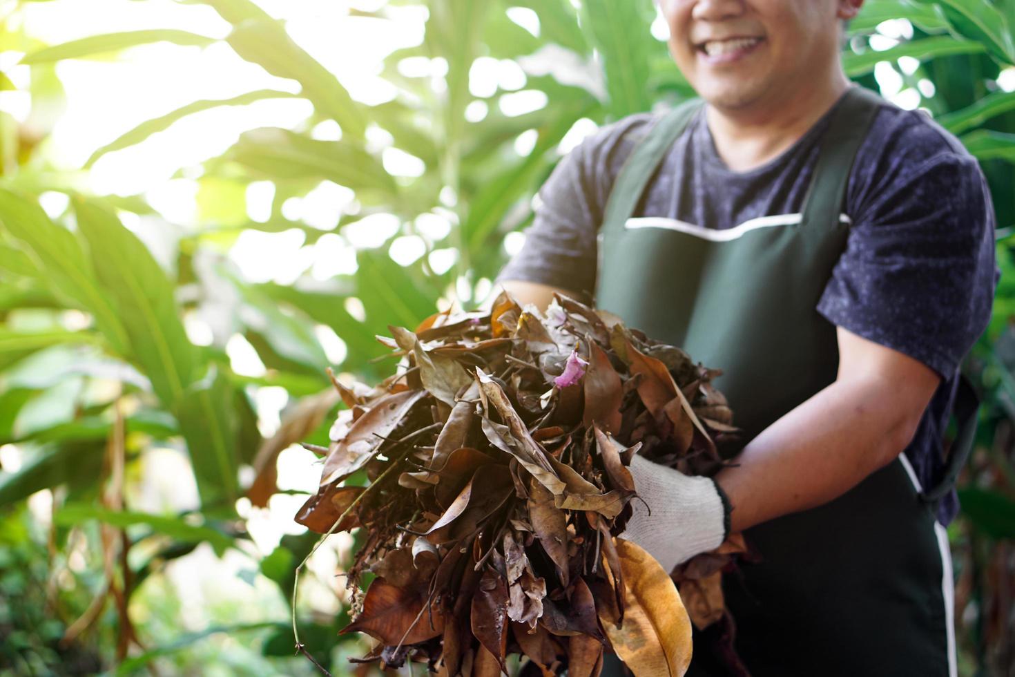 Closeup view of asian male doing the compost from rotten and dry leaves which fell down under the trees in the backyard of his house, soft and selective focus. photo