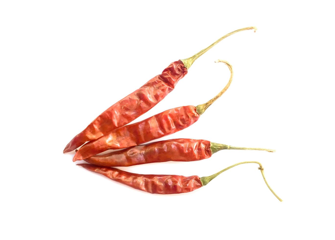 Dry red chillies on a white background photo