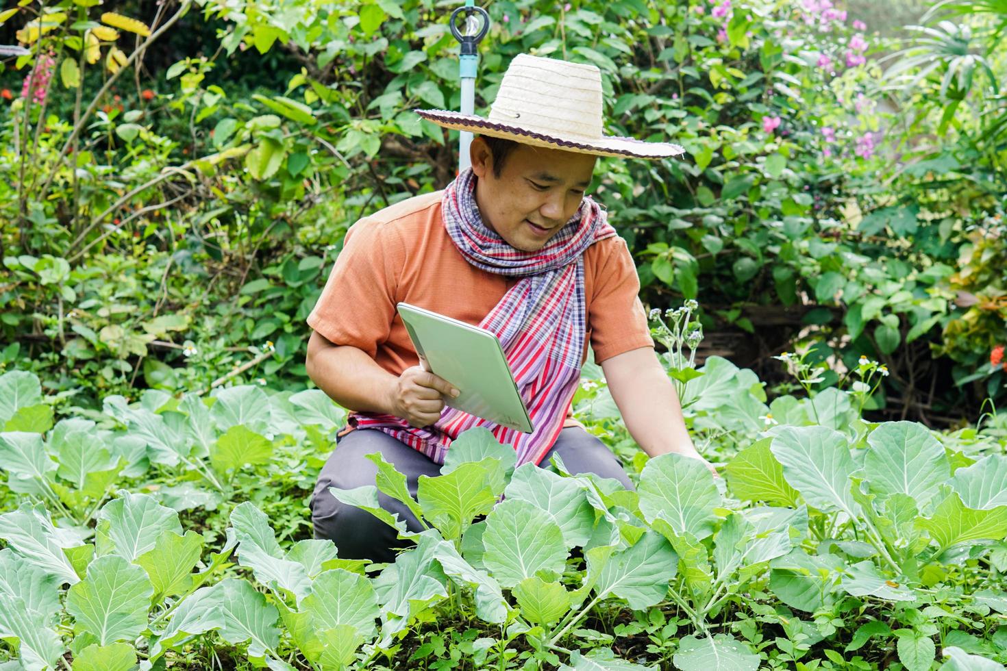 un hombre asiático de mediana edad se relaja en su tiempo libre usando su taplet para tomar fotos y almacenar los datos crecientes junto a las camas de vegetales en el patio trasero de su casa. enfoque suave y selectivo.