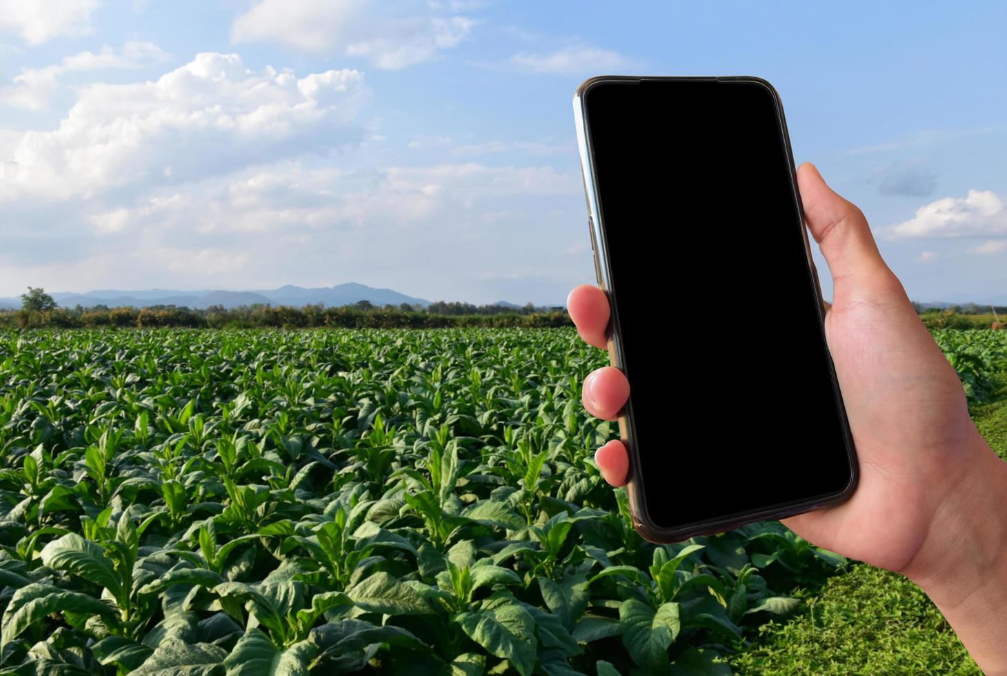 teléfono móvil inteligente que tiene una pantalla táctil en blanco en la mano, concepto para usar un teléfono móvil inteligente con transacciones en línea. foto