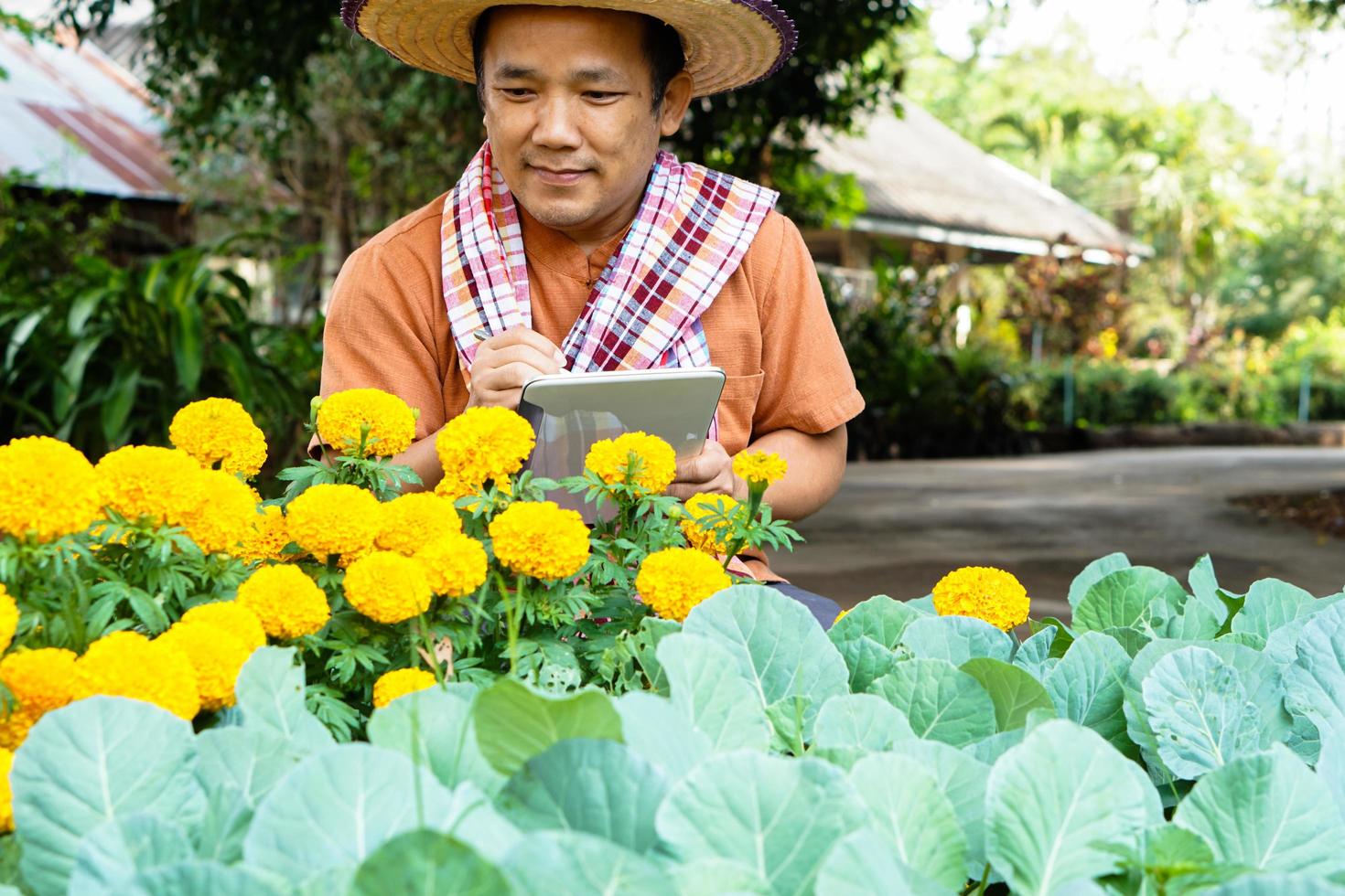 un hombre asiático de mediana edad se relaja en su tiempo libre usando su taplet para tomar fotos y almacenar los datos crecientes junto a las camas de vegetales en el patio trasero de su casa. enfoque suave y selectivo.