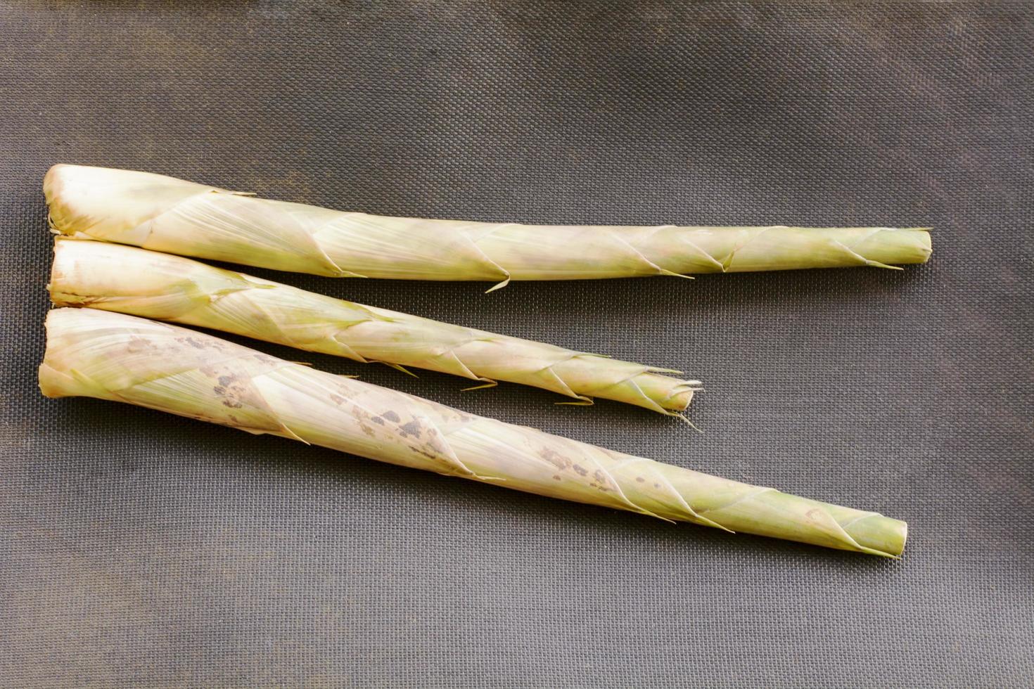 Bamboo shoots or bamboo sprouts are the edible shoots 6837491 Stock