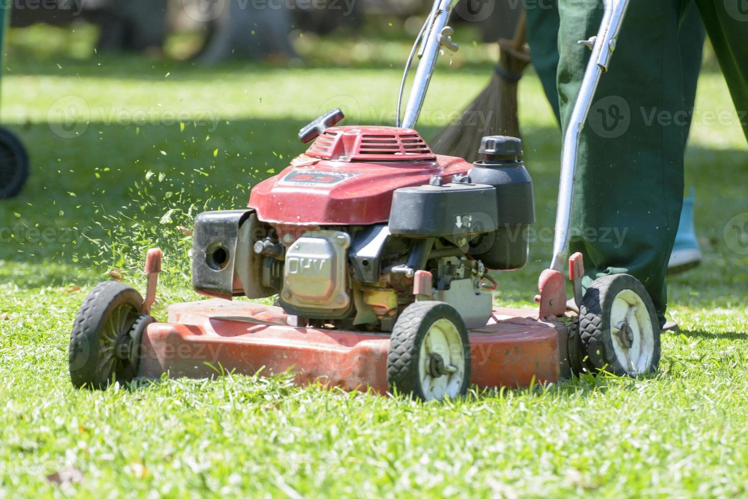 Lawnmower, which cut the grass in the field. photo