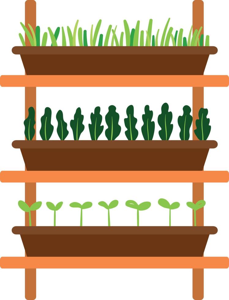 Illustration of Seedling Wooden Rack vector