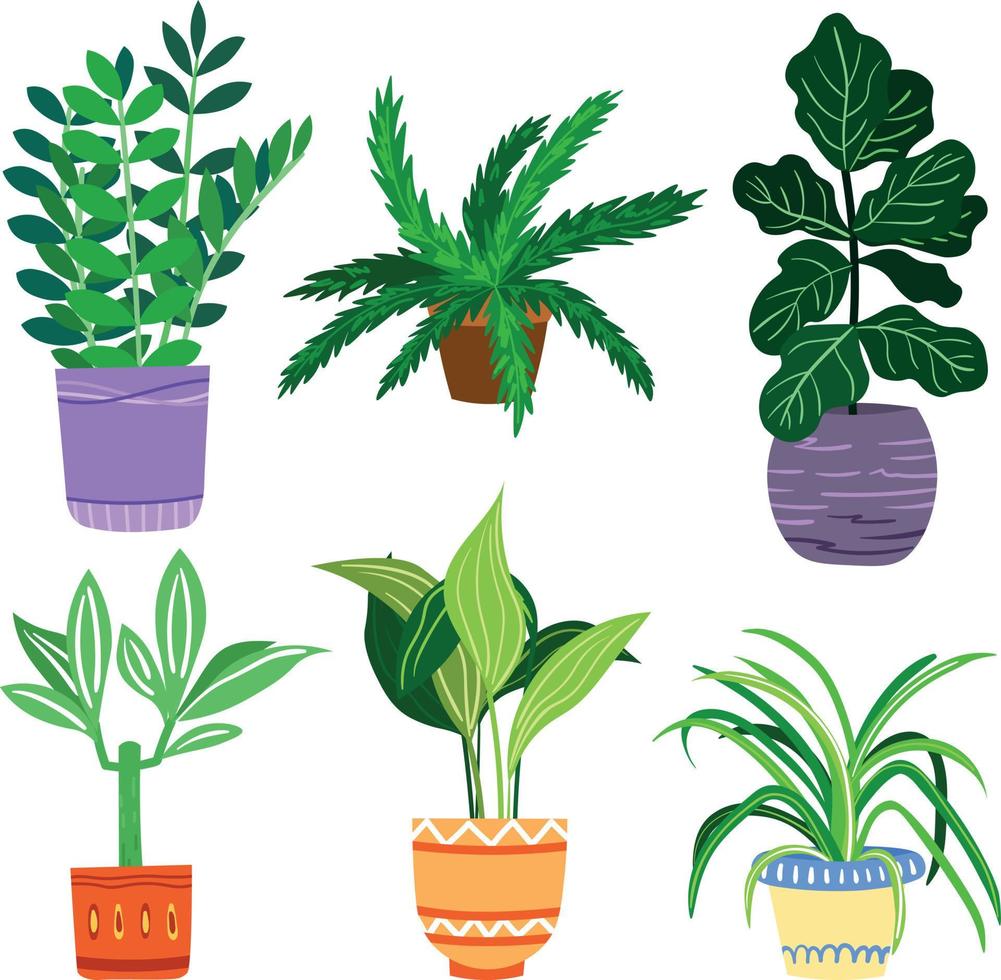 Set of Decorative Leafy Houseplants vector