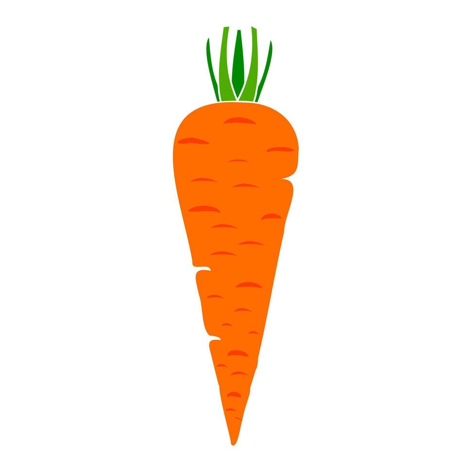 One carrot on a white background. Carrot vector illustration 6839466 ...