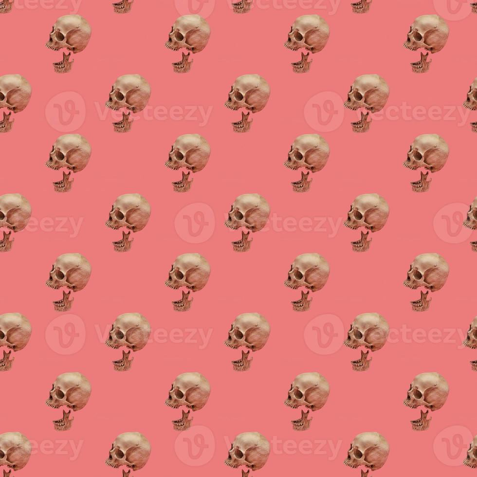 cráneo con mandíbula en un patrón rosa sin costuras. foto