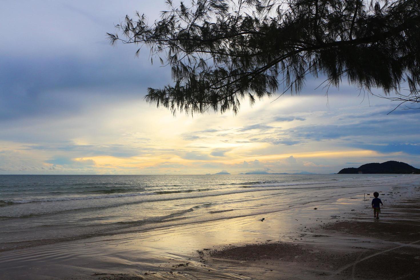 The beach with a little boy walking alone at sunset. The sea with mountains and branches of pine trees. photo