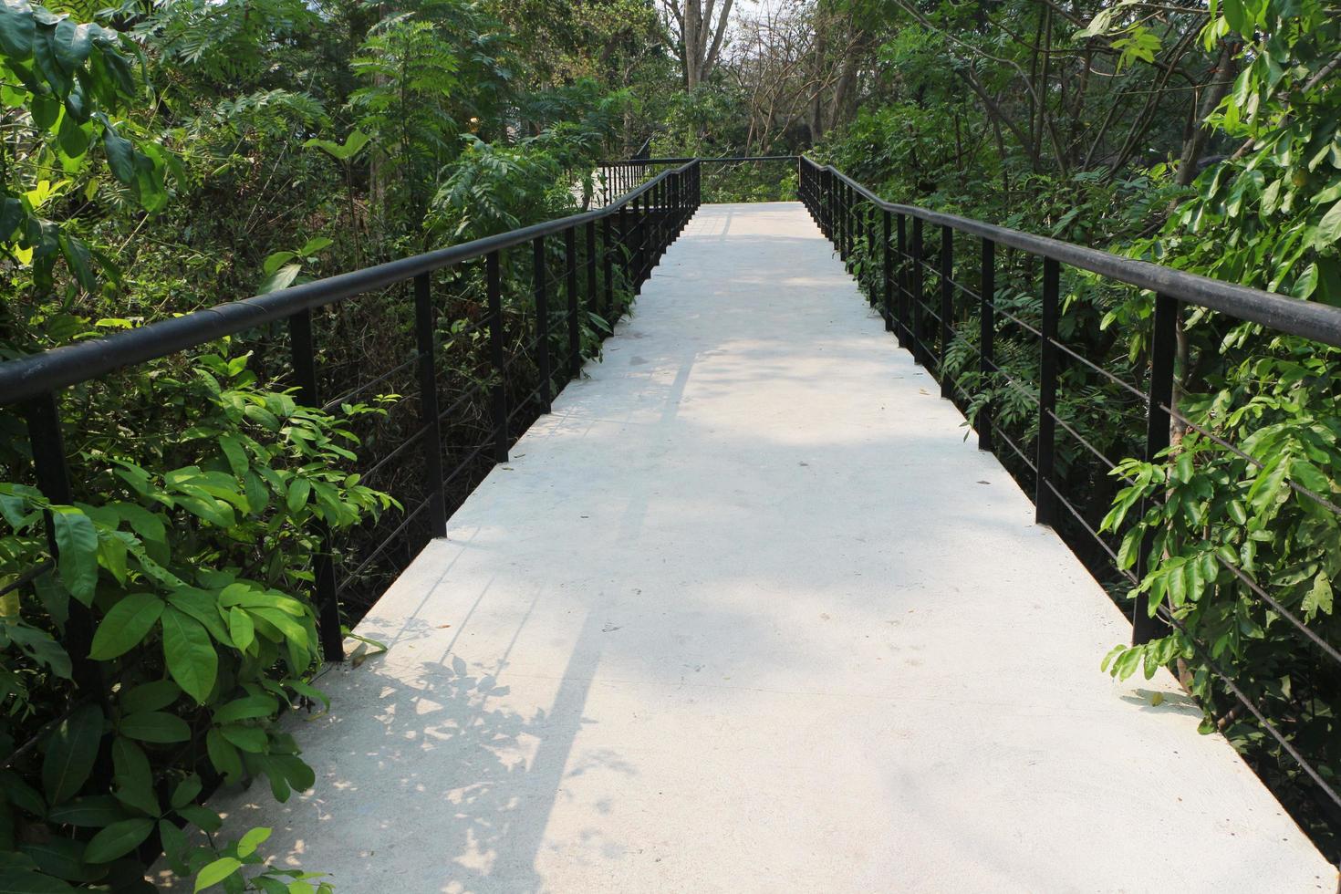 Concrete bridge with metal handrails for forest nature study walkway. photo