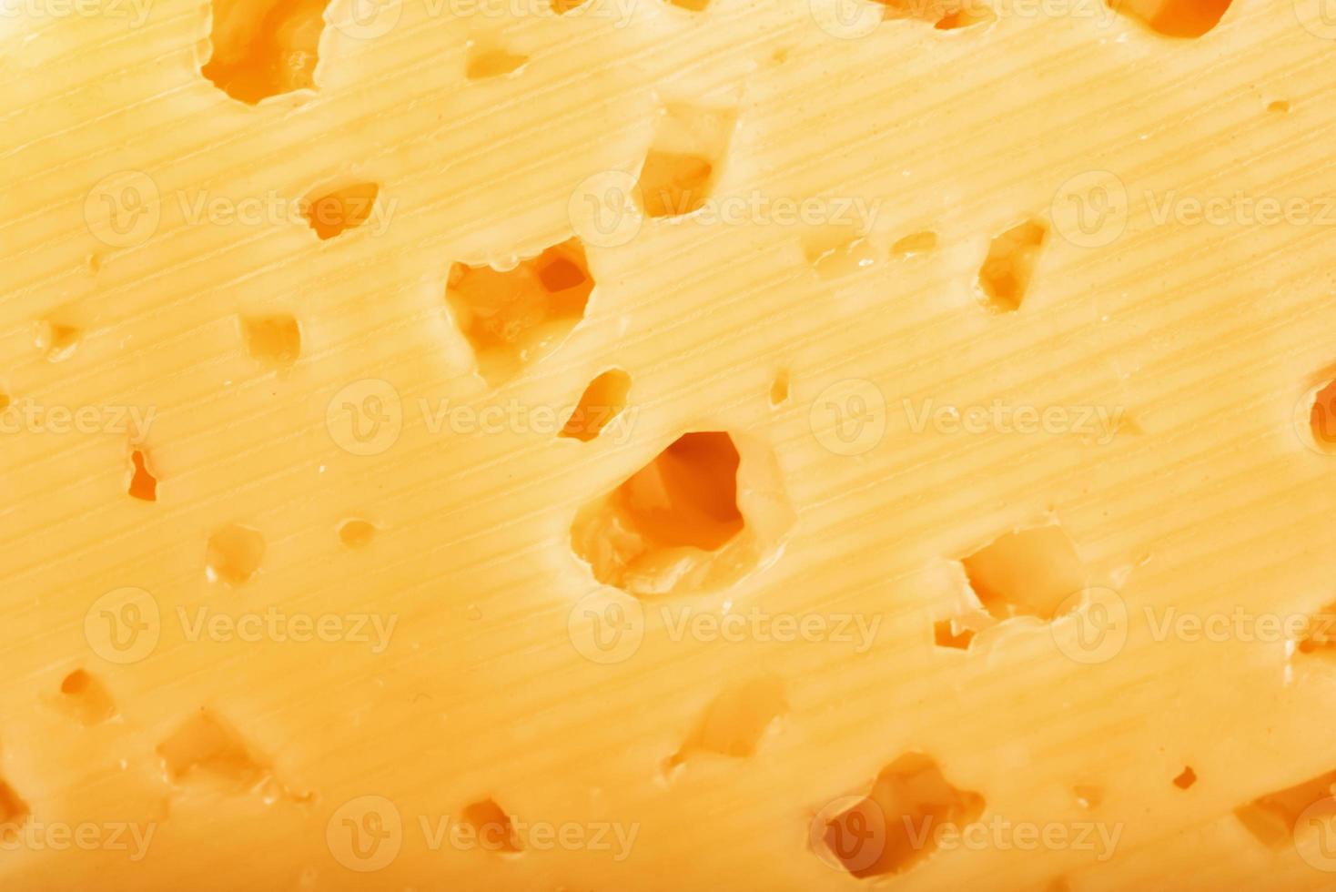 Texture Dutch cheese photo
