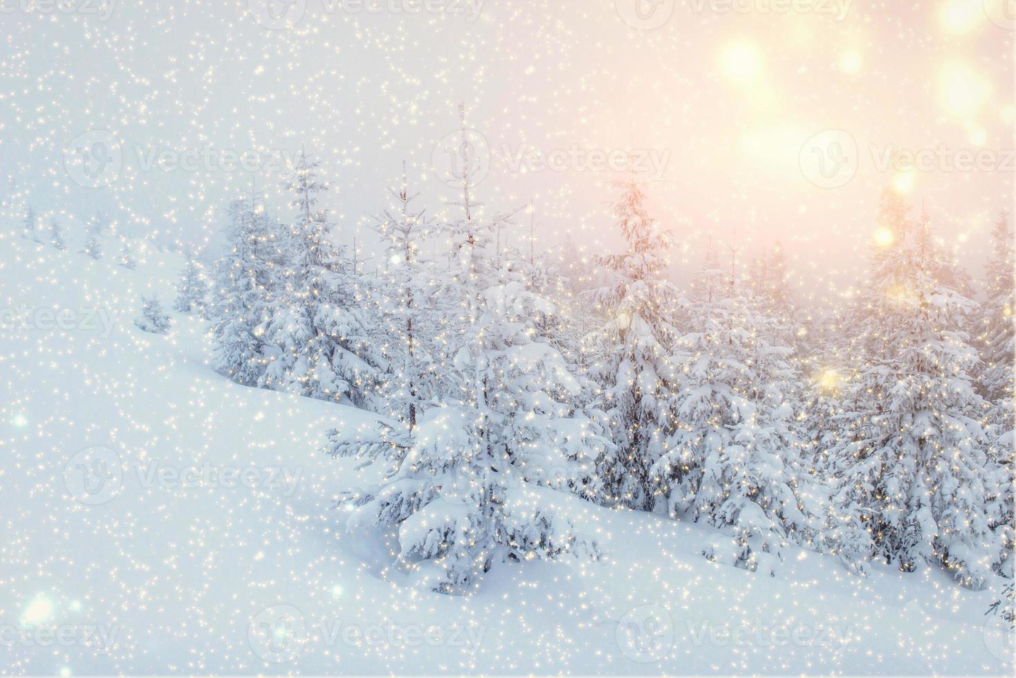 winter landscape trees snowbound, bokeh background with snowflak photo