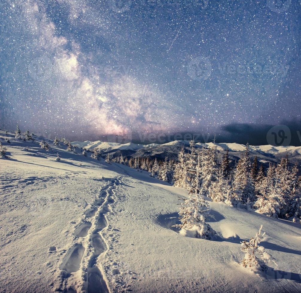 starry sky in winter snowy night. fantastic milky way photo