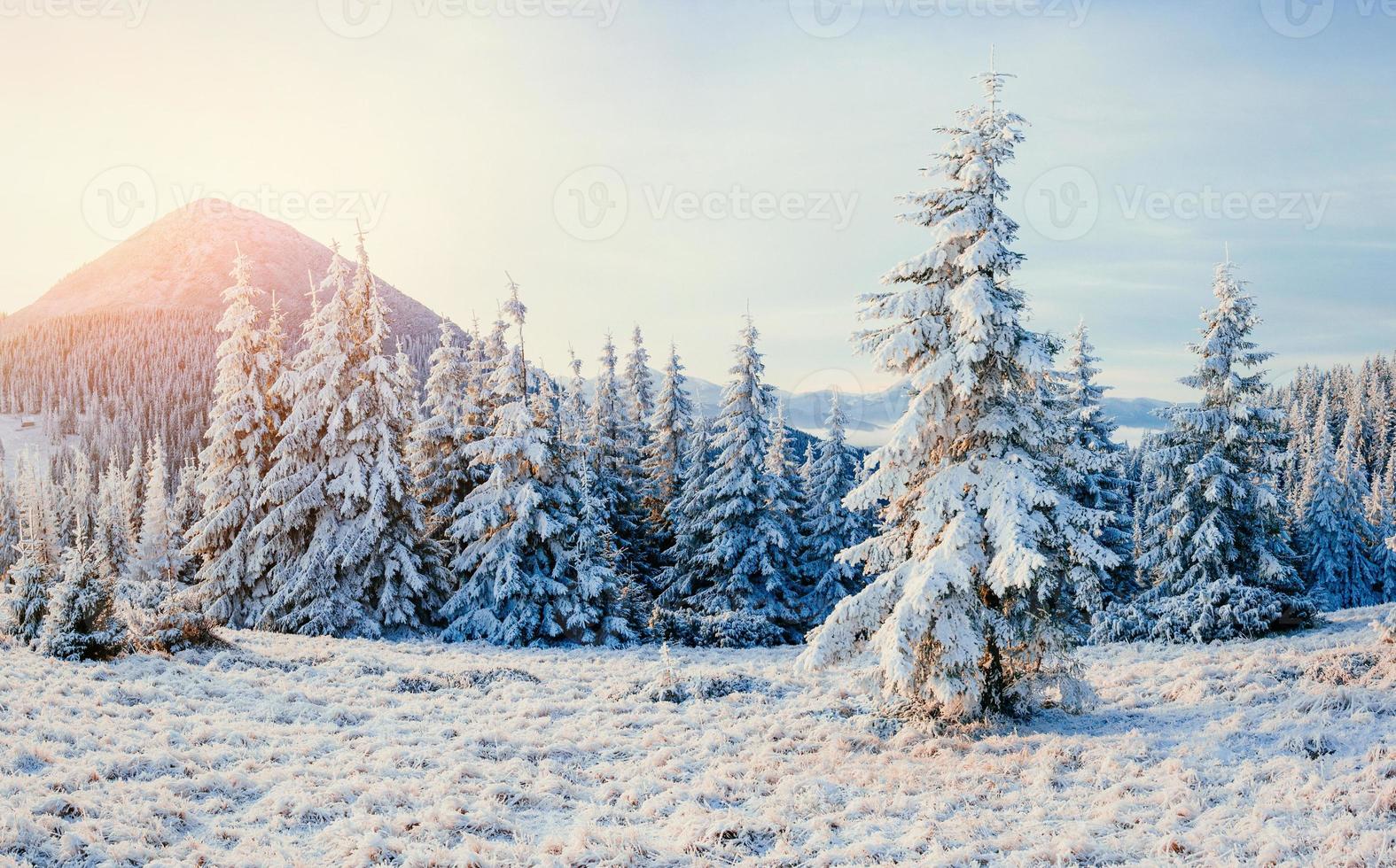 paisaje de invierno brillando por la luz del sol. dramática escena invernal. coche foto