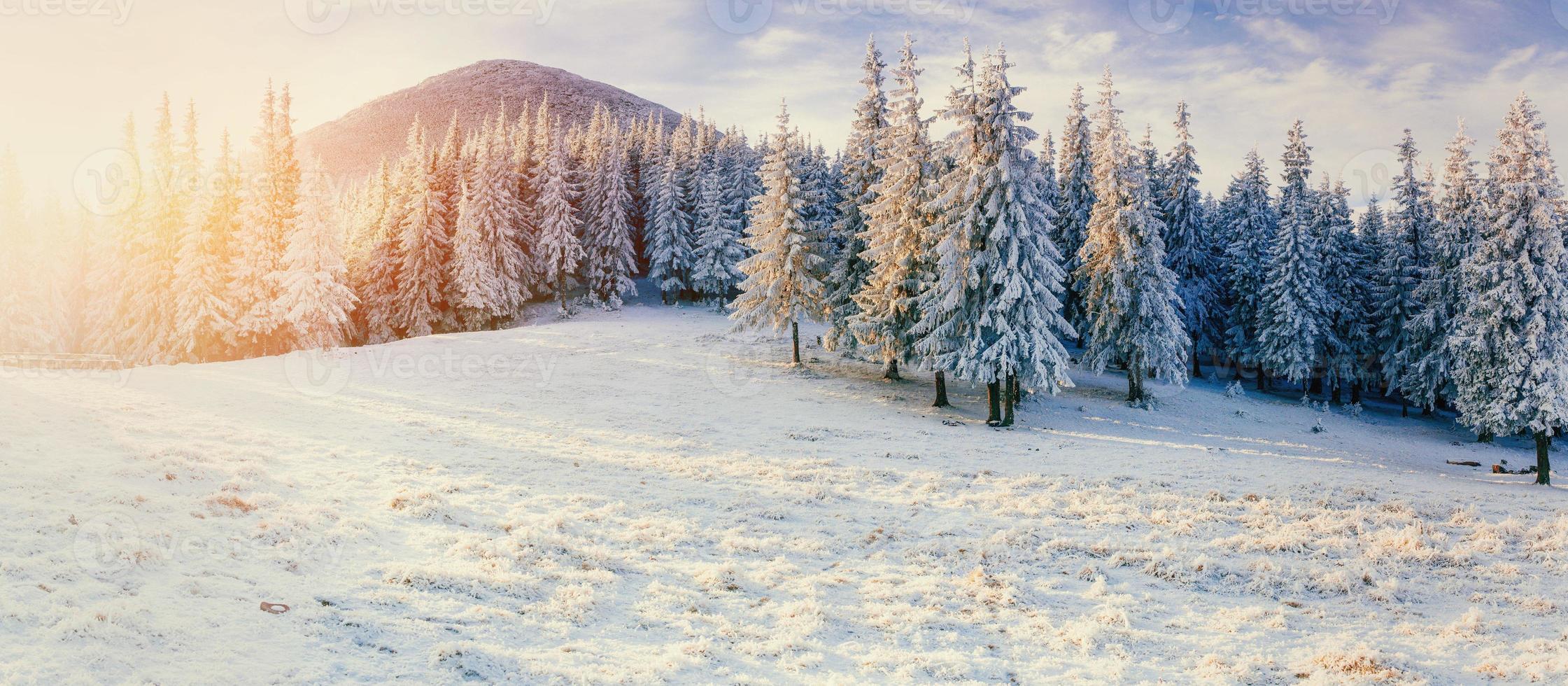 paisaje invernal que brilla intensamente por la luz del sol. dramática escena invernal. foto