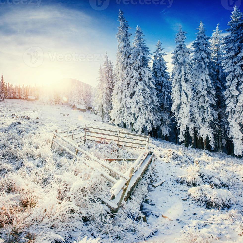 paisaje invernal que brilla intensamente por la luz del sol. dramática escena invernal. foto