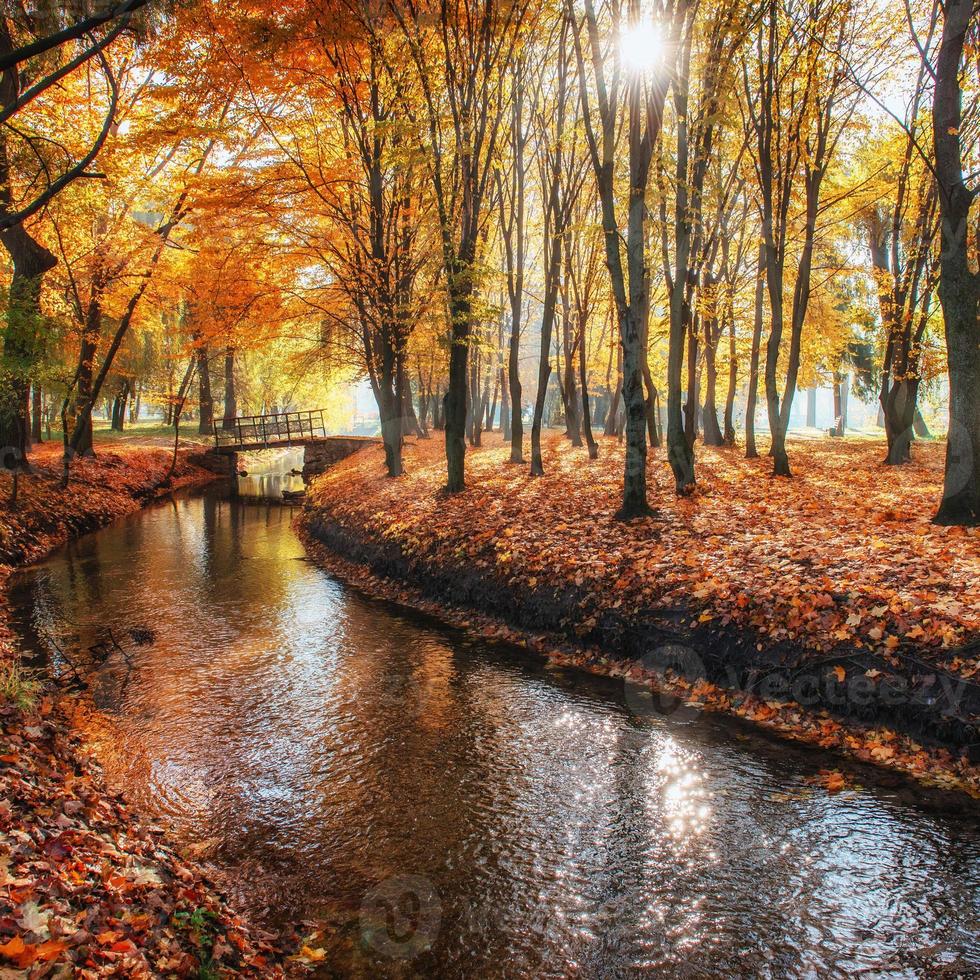 Walk way bridge over river with colorful trees photo