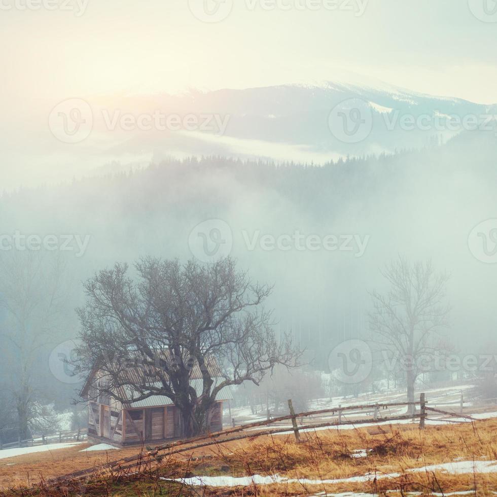 Wooden old house in the mountains in a foggy weather photo
