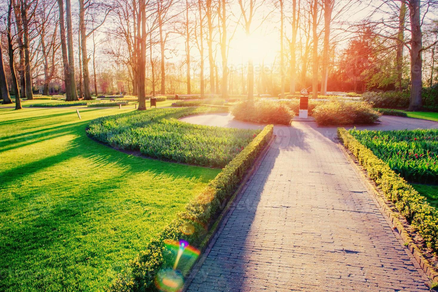 lower flowerbeds in the park. photo