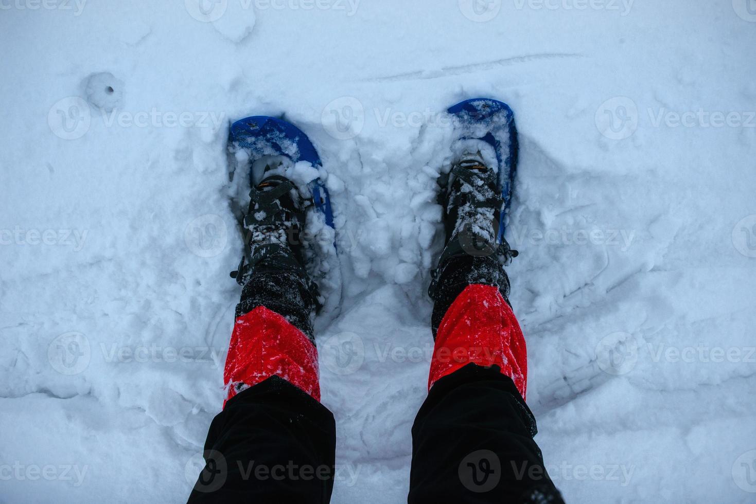Feet in snowshoes on snow. photo