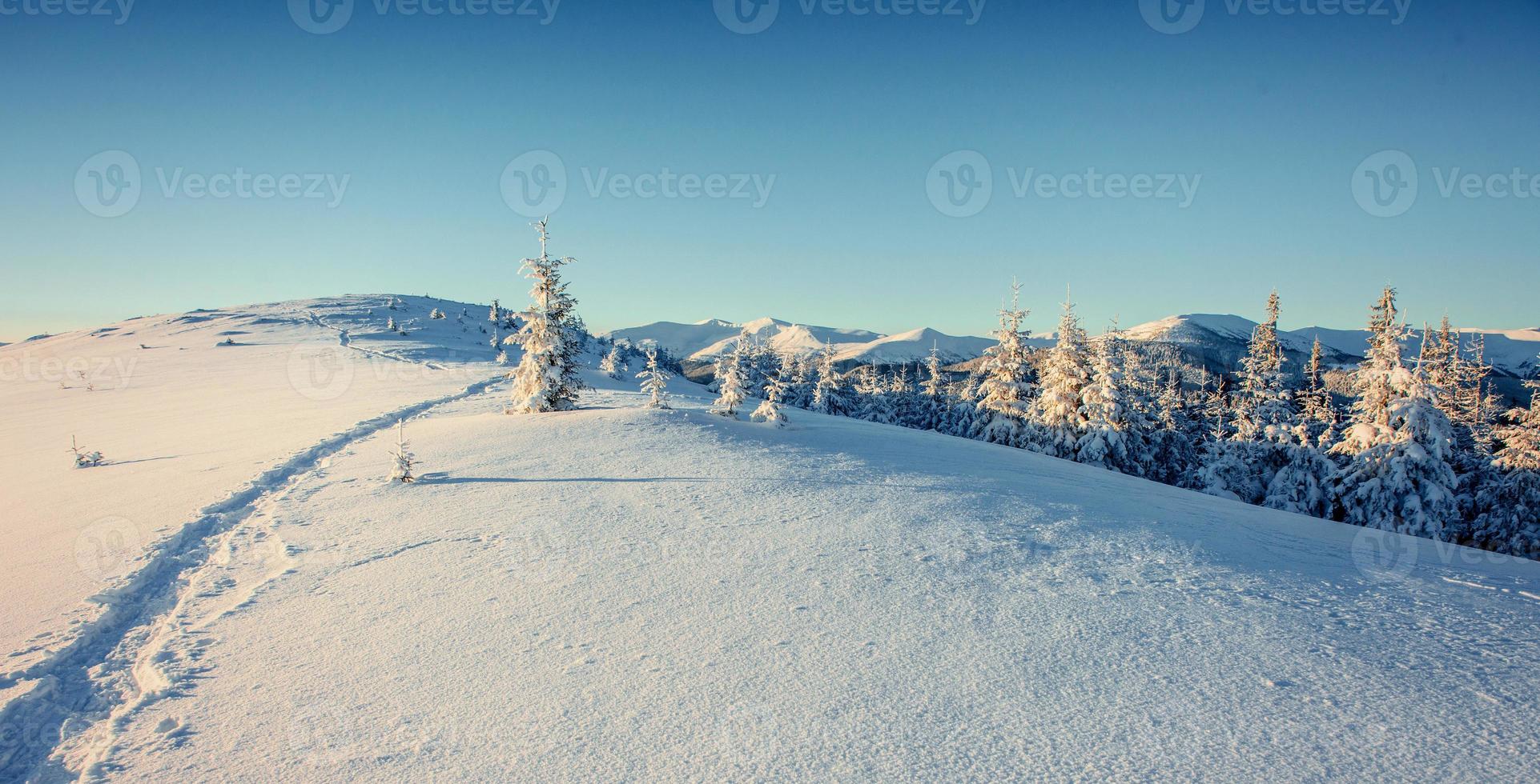 Fantastic winter landscape and trodden trails that lead into the photo