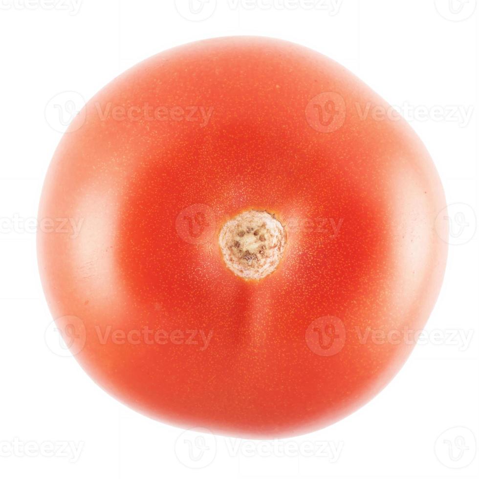 tomate aislado sobre fondo blanco foto