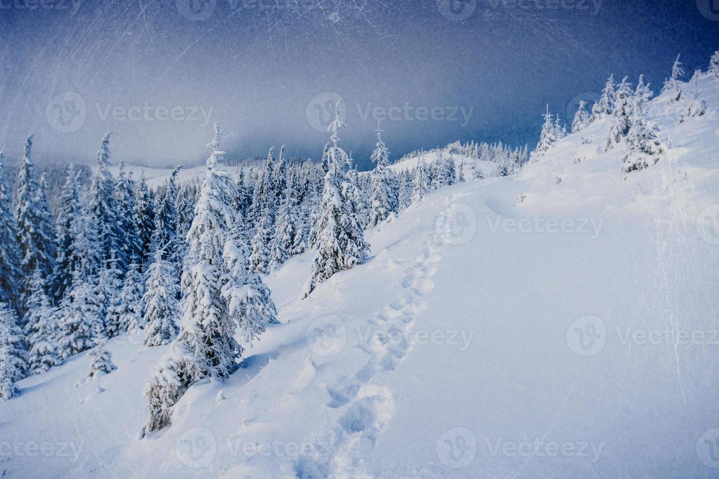 Fantastic winter landscape photo