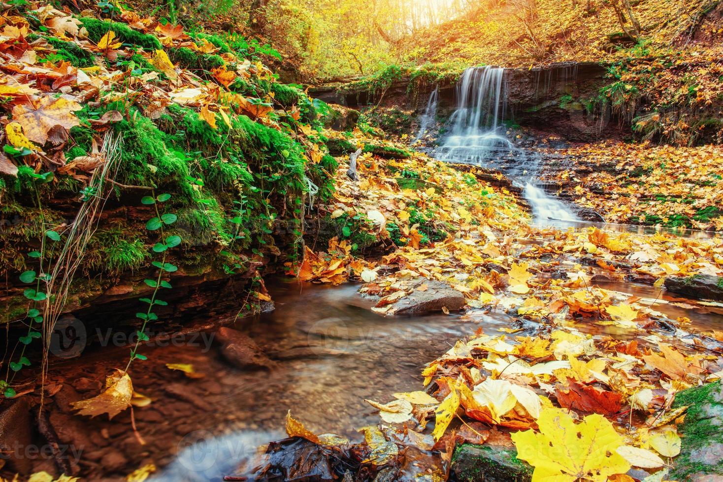 Waterfall in autumn sunlight. Beauty world. Carpathians. Ukraine. Europe photo