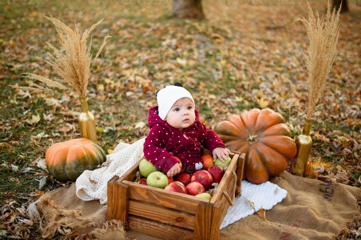 niña elige una manzana para la primera alimentación foto