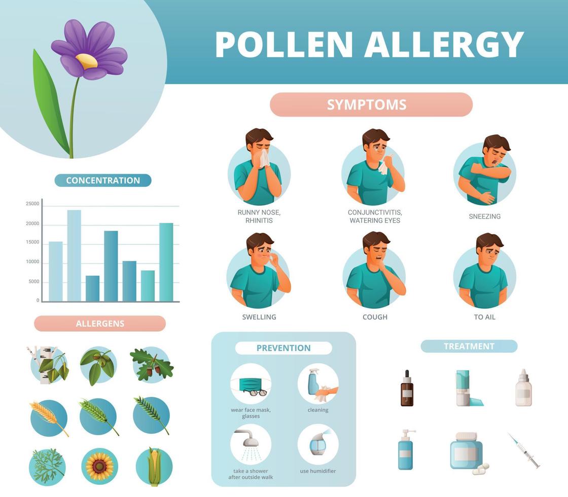 Pollen Allergy Infographics vector