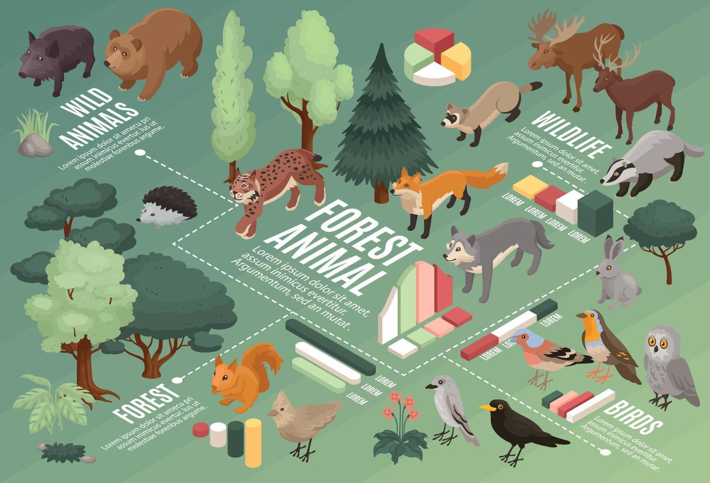 Forest Animals Infographic Composition vector