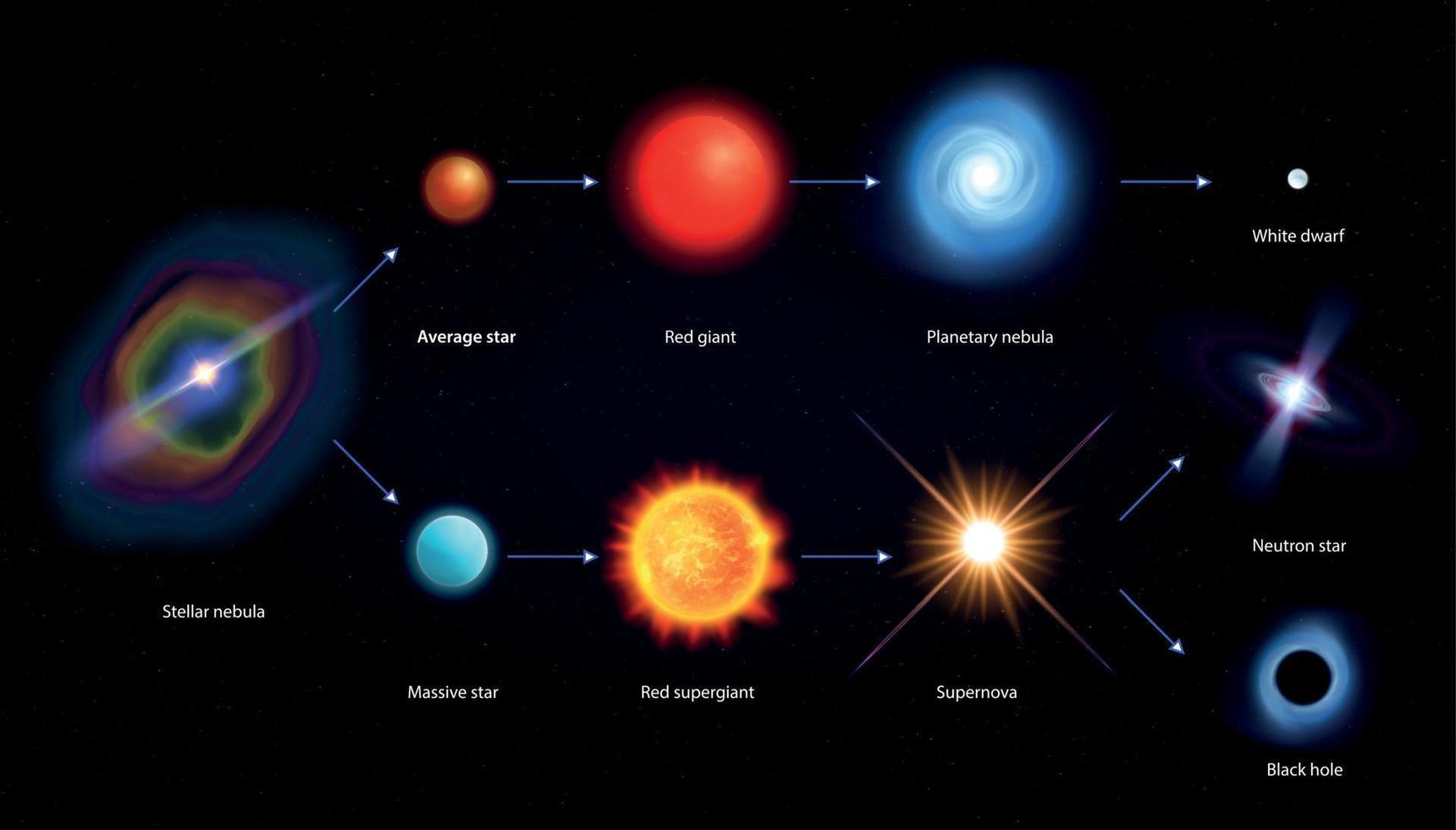 infografía de la estrella del ciclo de vida vector