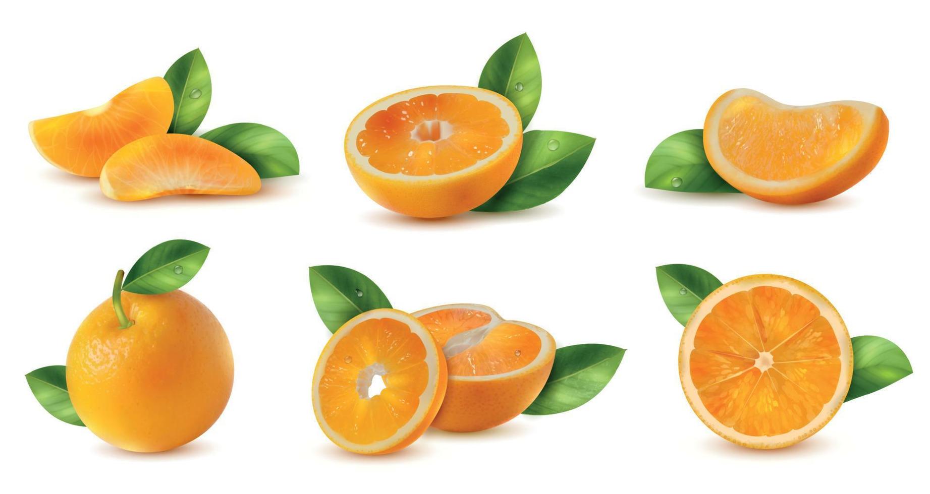 Orange With Leaves Set vector